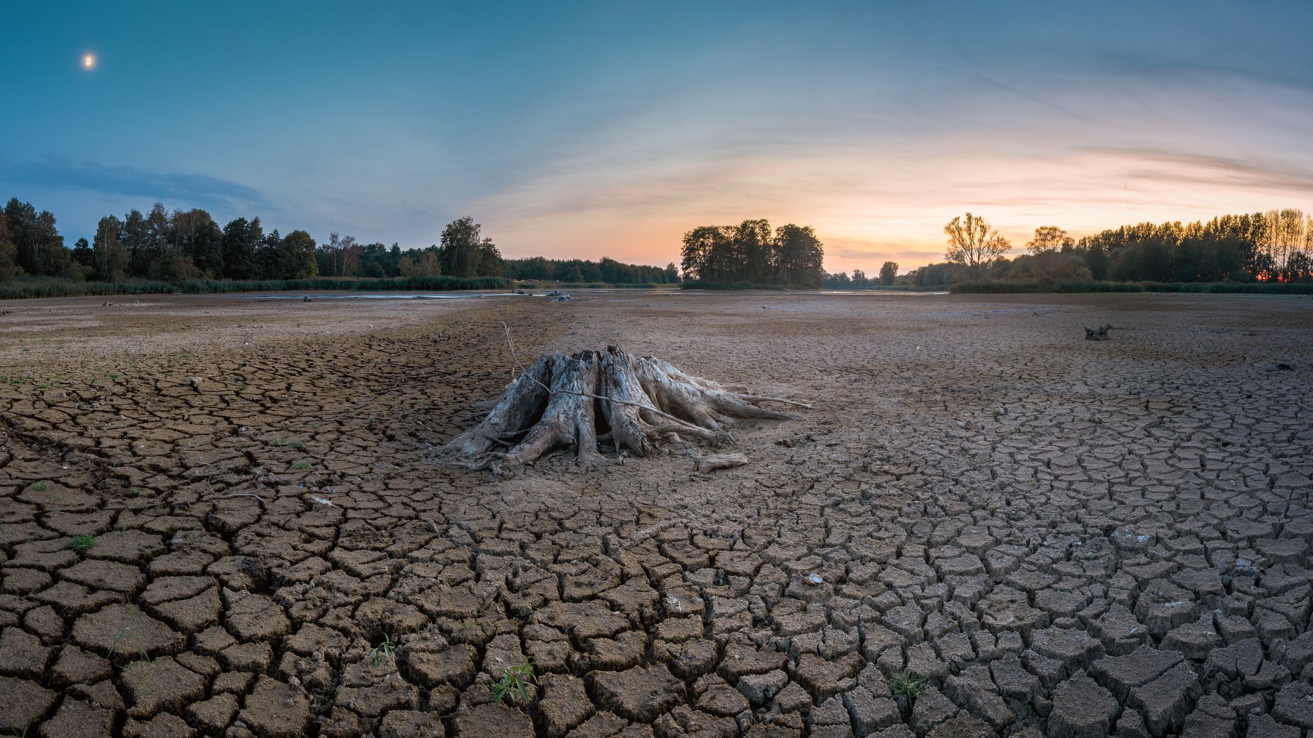 Billede: Tørke forårsaget af klimaændringerne