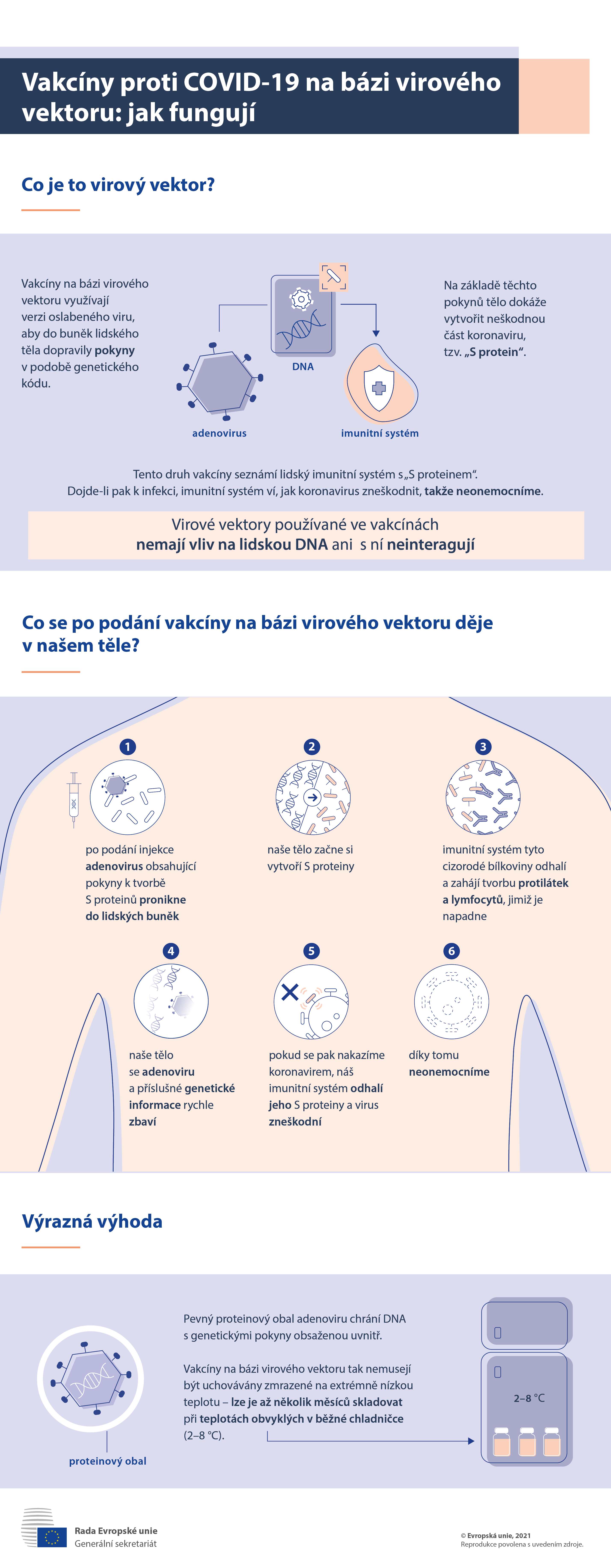 Infografika: Co se po podání vakcíny na bázi virového vektoru děje v našem těle?