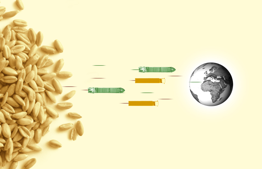 Visuel illustration af korn, der sendes til lande rundt om i verden. 
