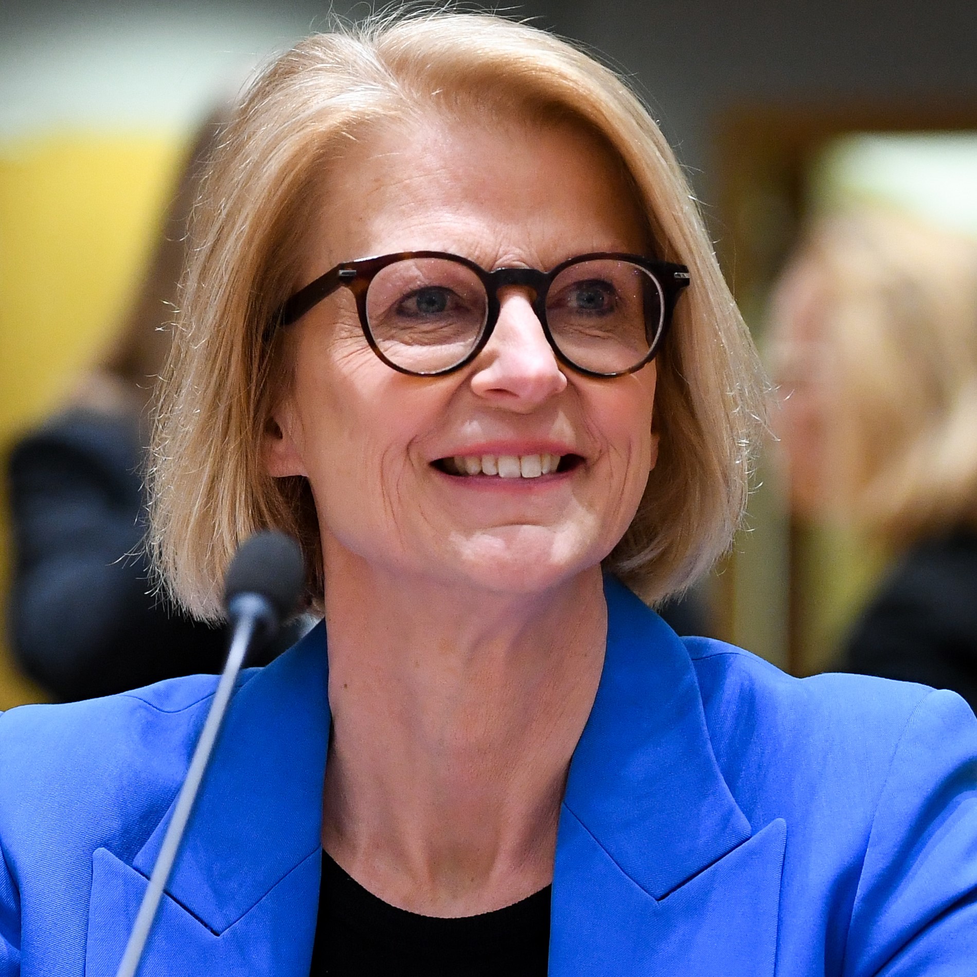 Elisabeth Svantesson, Sveriges finansminister og formand for Rådet