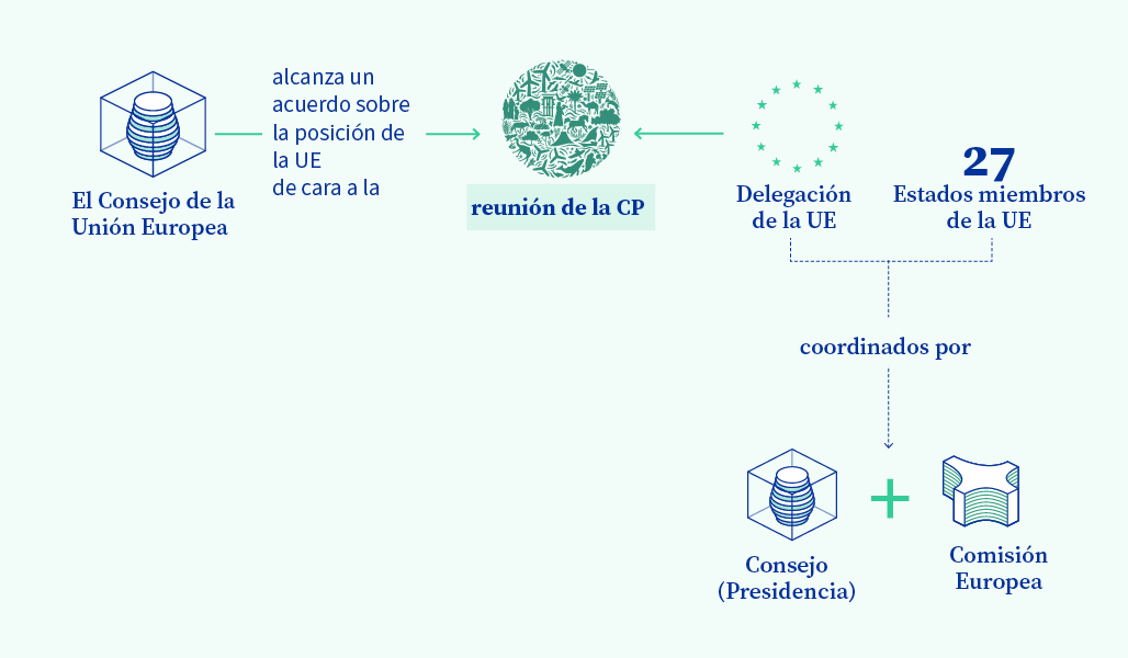 Representación gráfica del papel de la UE y el Consejo en las reuniones de la CP.