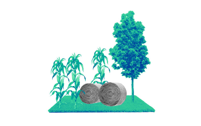Landwirtschaftliche Fläche mit einem Baum, Getreide und Heuballen.
