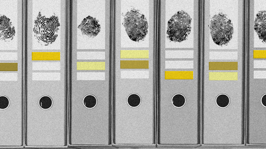 A row of grey office ring binders on a shelf, each labelled with a black fingerprint and coloured bands, suggesting an organised fingerprint database system.