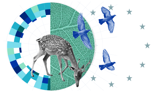 Eine stilisierte Zusammensetzung mit einem weidenden Reh in der Mitte eines Kreises, der jeweils zur Hälfte eine Blattstruktur und ein segmentiertes Farbrad aufweist. Drei blaue Vögel fliegen nach rechts, im Hintergrund ein Kreis aus Europasternen.